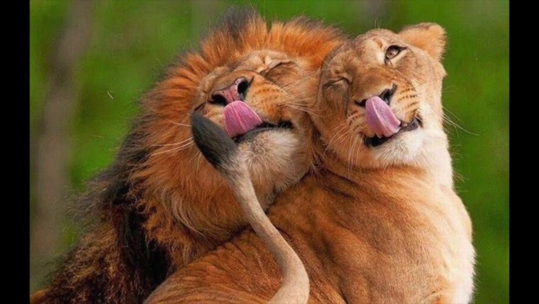 Цитаты про Львов