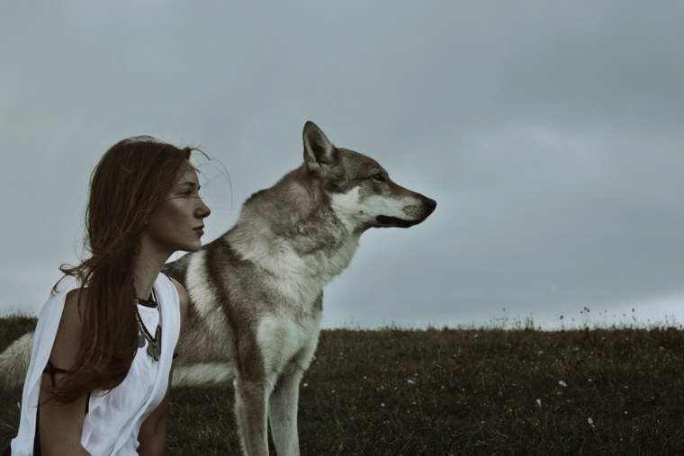 Девочка и волк