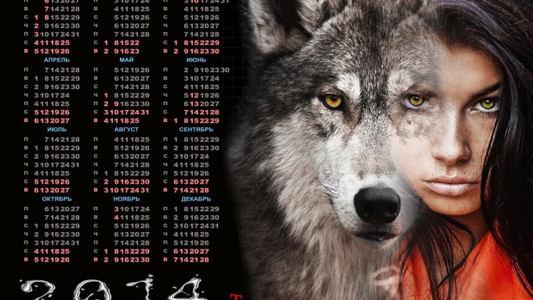 Одинокая волчица