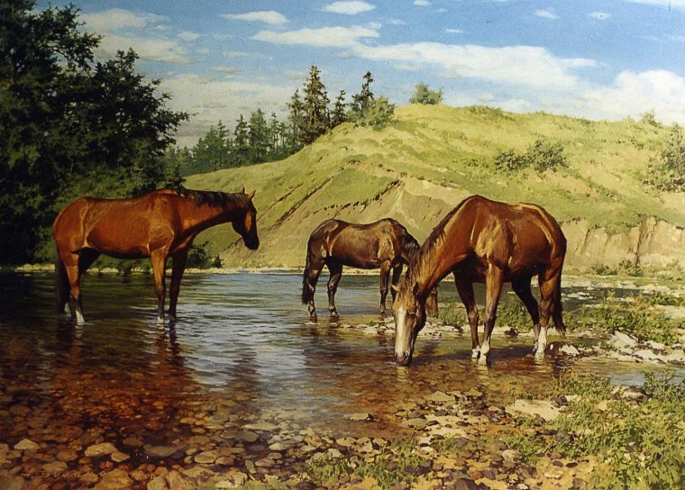 Художник Булаков Александр Владимирович
