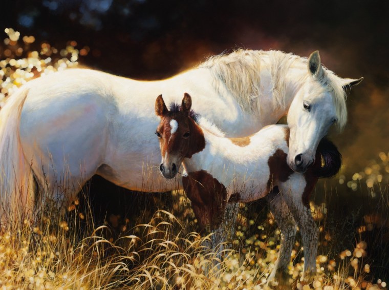 Адамов Алексей Владимирович художник