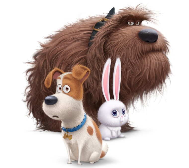 Машка из мультфильма Маша и медведь