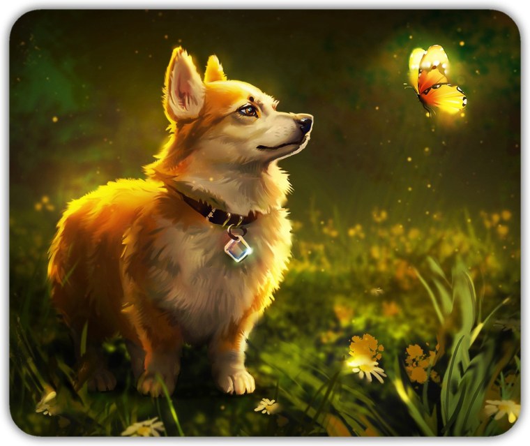 Корги собаки эльфов