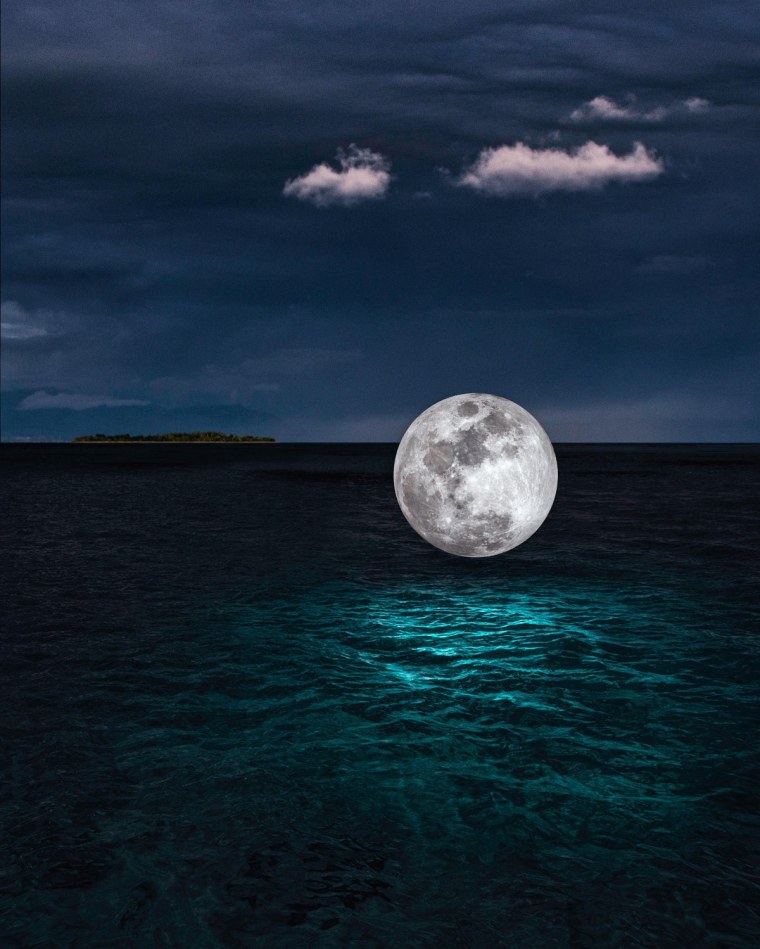 Ночная природа