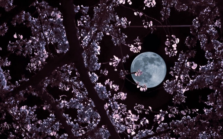 Луна и море