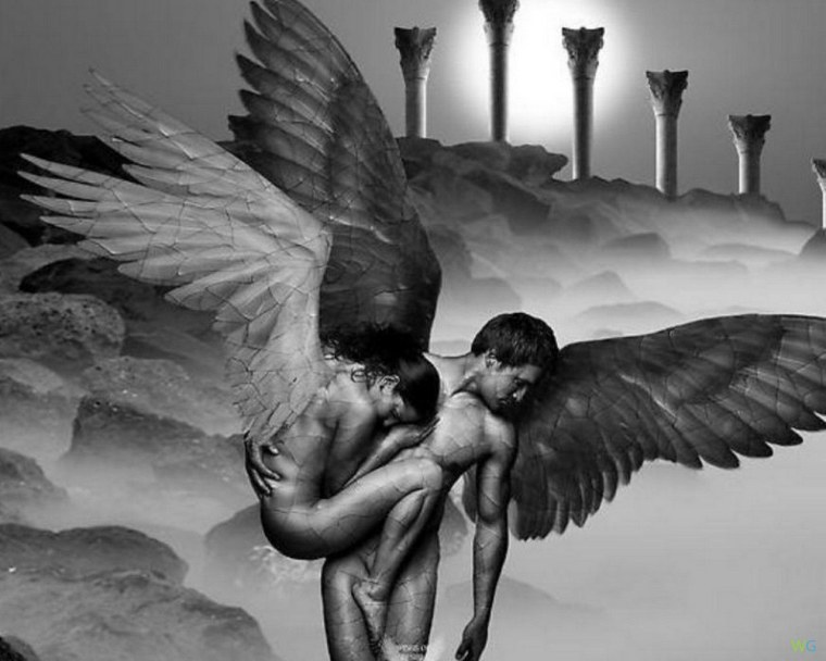 Крылья обнимают