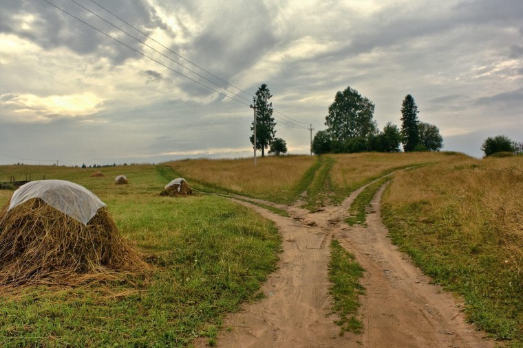 Выбор правильного пути