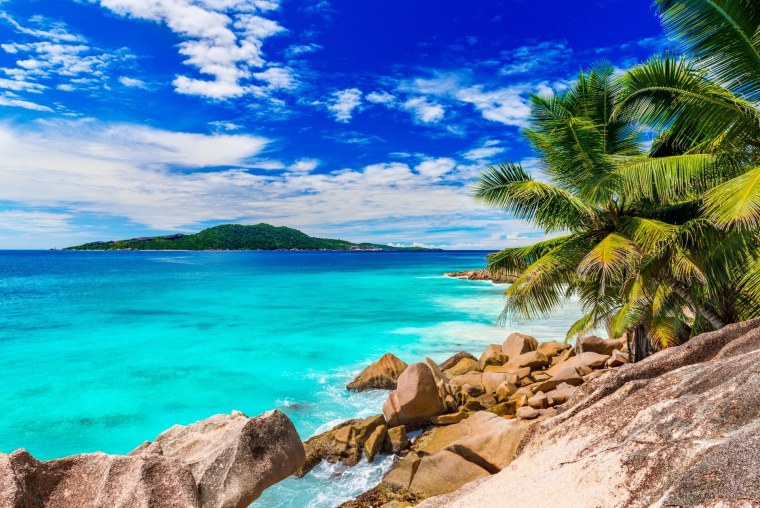 Море пальмы и песок