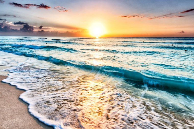 Море пляж пальмы