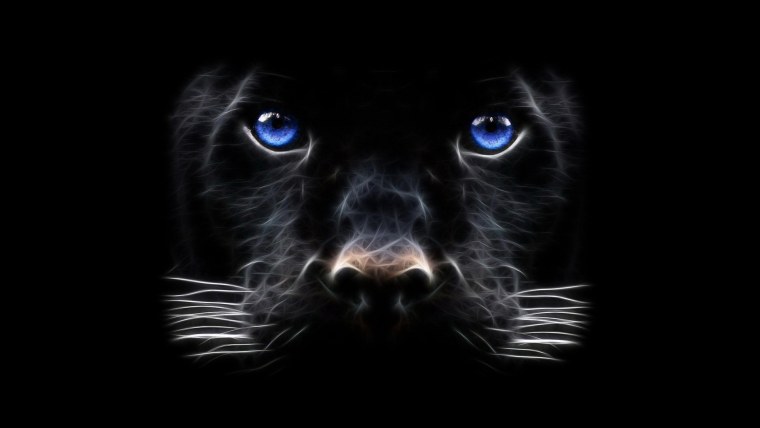 Темные обои животные