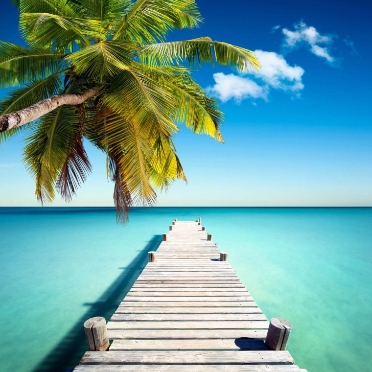 Пляж с пальмами