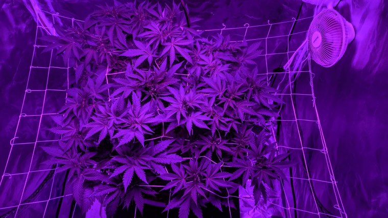 Абстракция с фиолетовым шаром