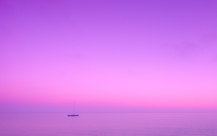 Фиолетовое дерево