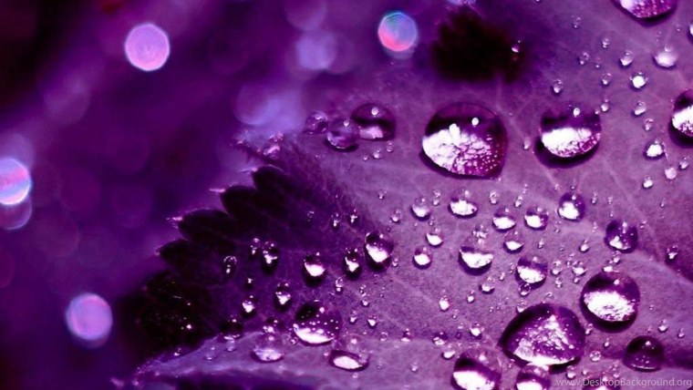 СФ дота 2 фиолетовый