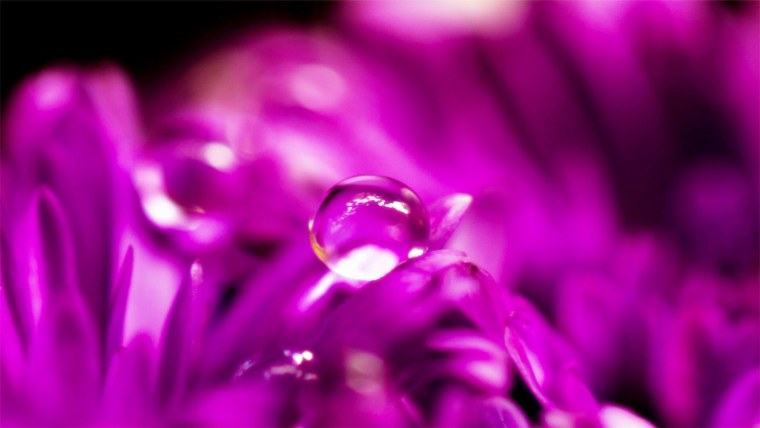 Энигма иллюминаты