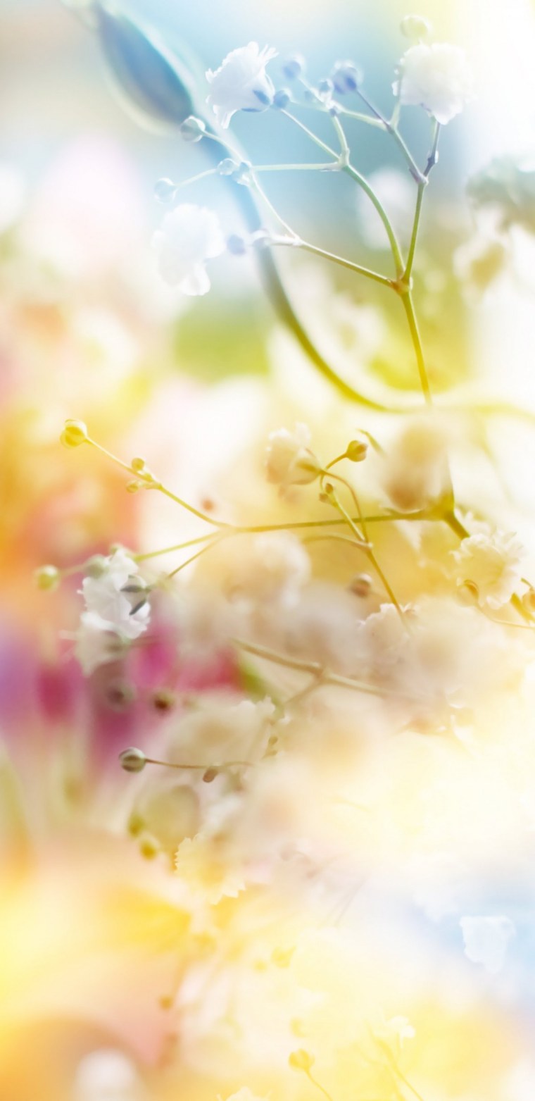 Космос панорама