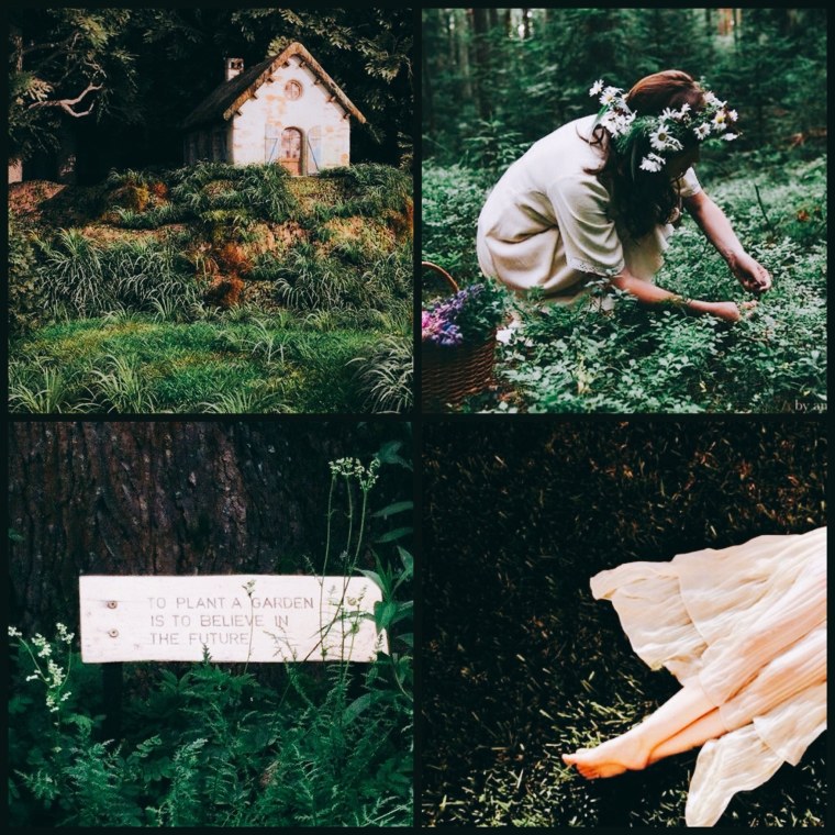 Гоблинкорн Эстетика