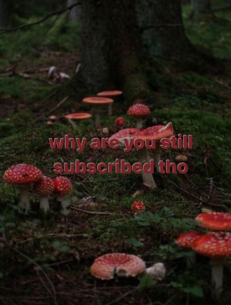 Goblincore и cottagecore