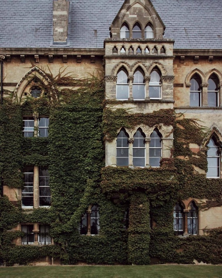 Оксфорды aesthetic