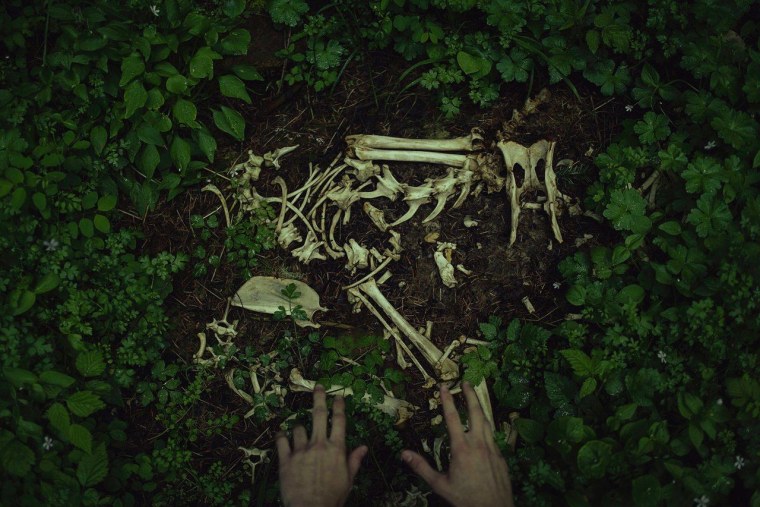 Гоблинкорн Эстетика