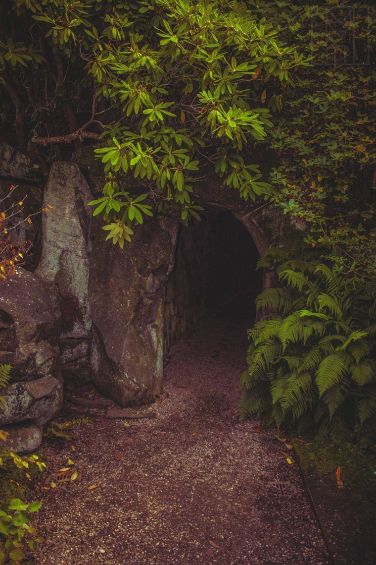 Биддалф гранж