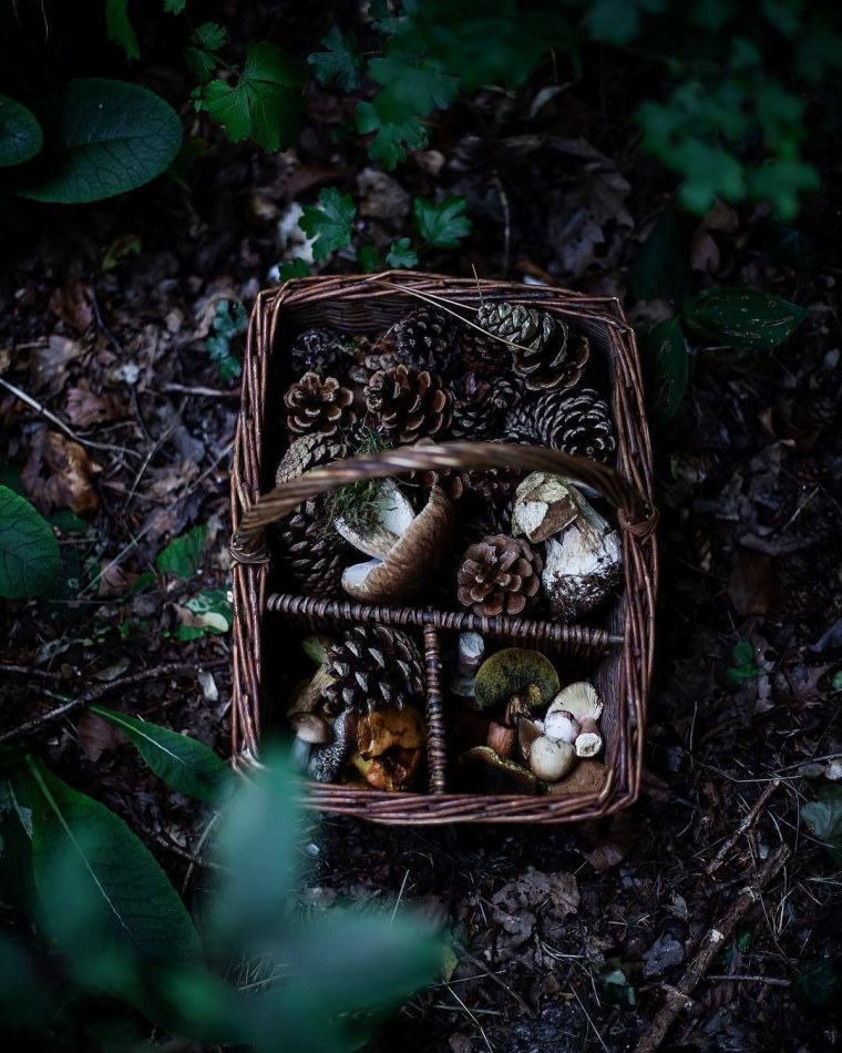 Goblin Core Пинтерест