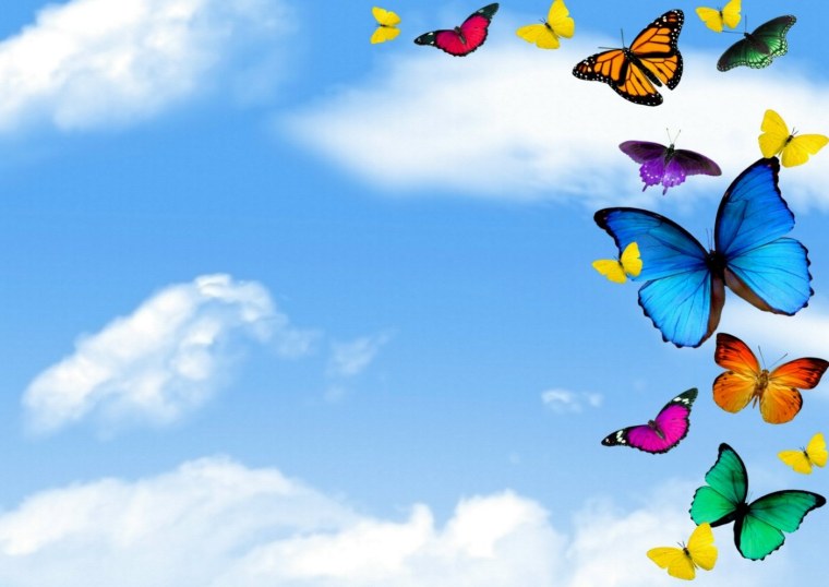 Красивый фон с бабочками