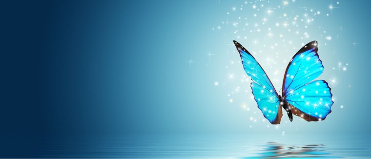 Голубые бабочки Эстетика