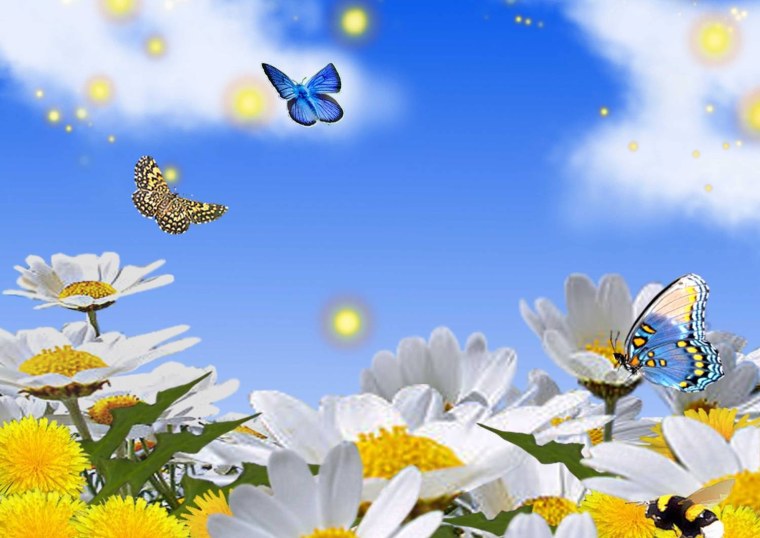 Бабочки в небе