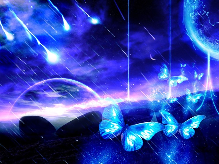 Полевые цветы и бабочки