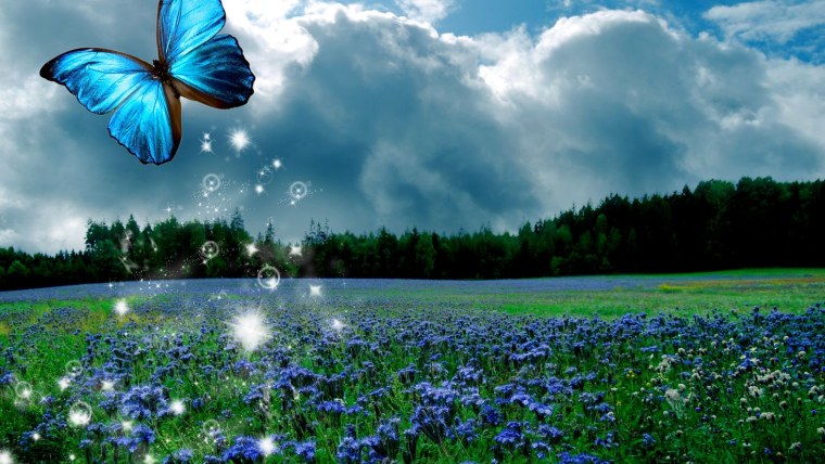 Бабочки летают