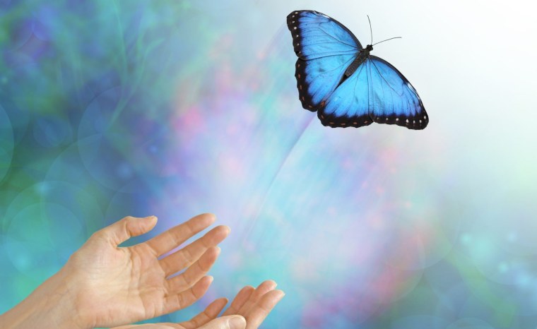 Бабочка Махаон в полете