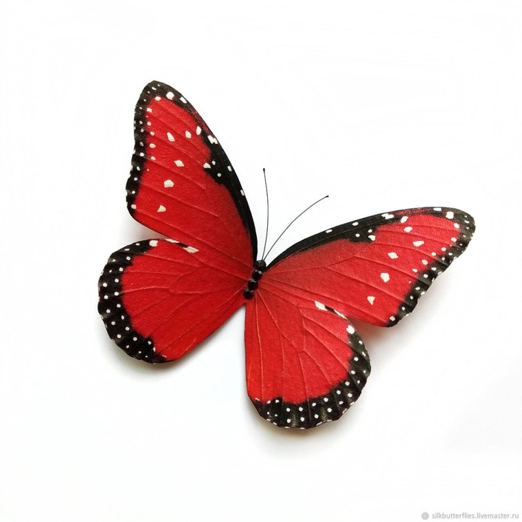 Красивые красные бабочки