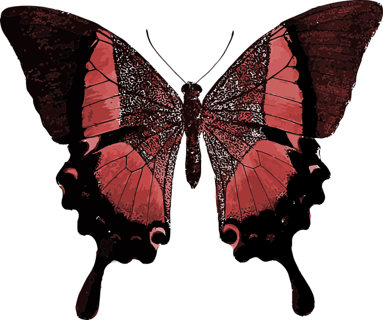 Красная Баттерфляй бабочка