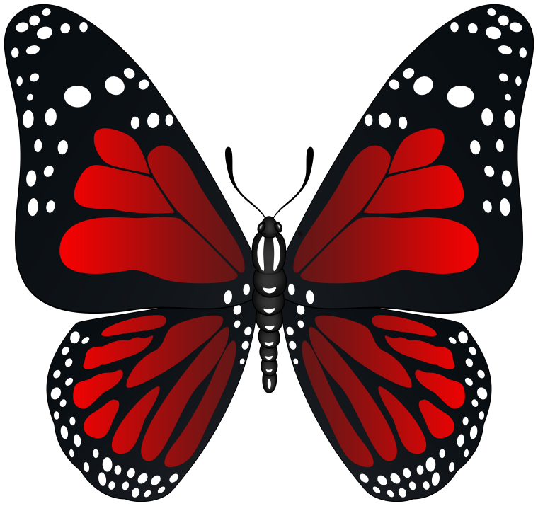 Красно черная бабочка