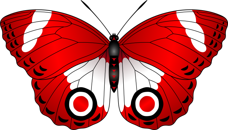 Черный Кардинал бабочка