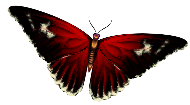Бабочки мультяшные
