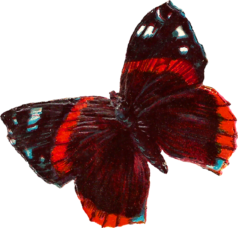 Красная бабочка