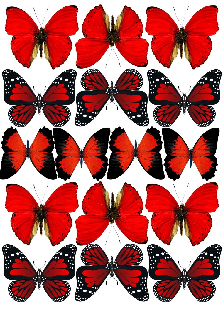 Красные бабочки на прозрачном фоне