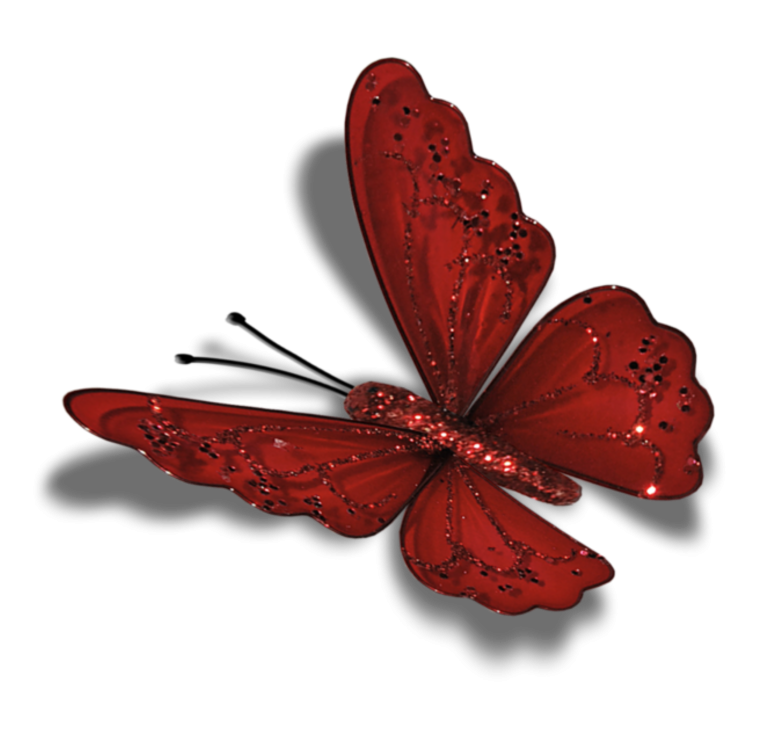 Бабочка рисунок