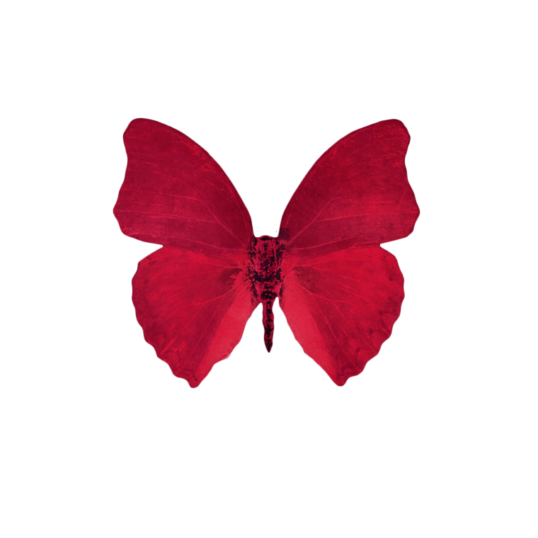 Бабочка красного цвета