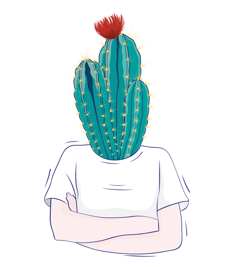 Кактусы мультяшные