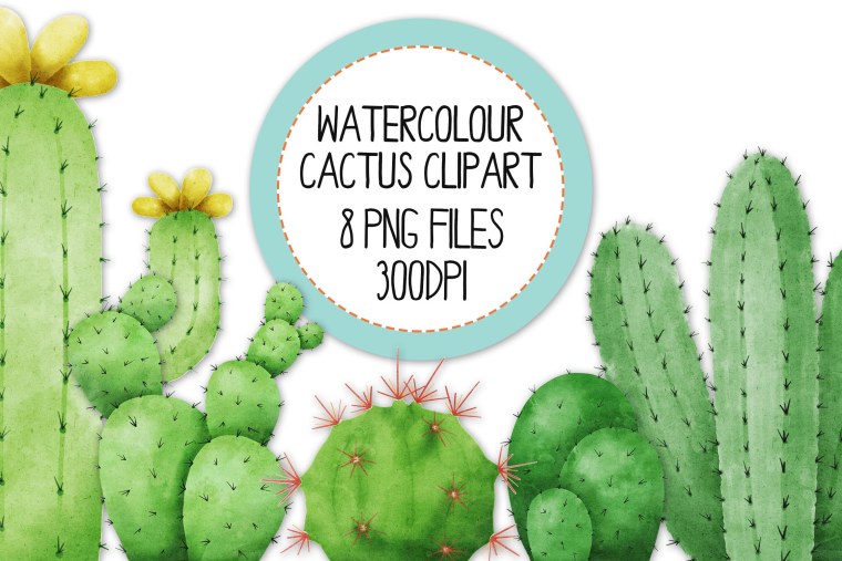 Кактус в виде человека