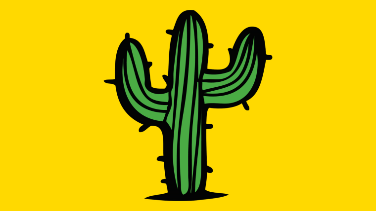 Кактус в очках