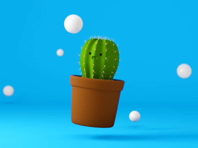 Кактус арты