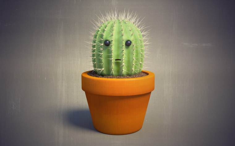 Милый Кактус