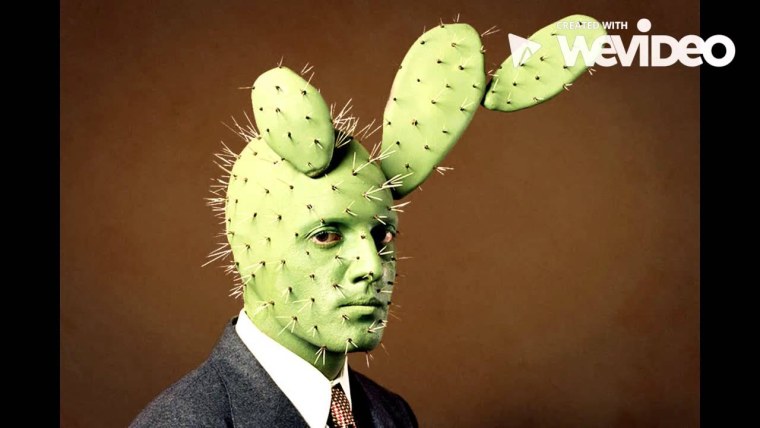 Кактус улыбается