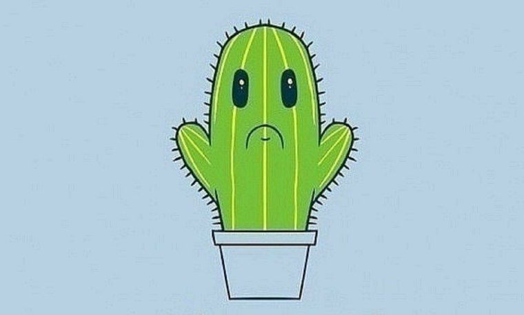 Кактус арт Минимализм