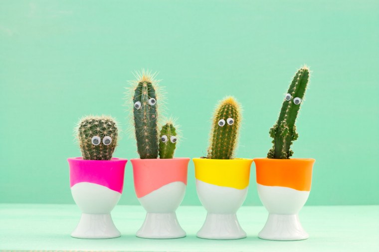 Открытка с кактусом