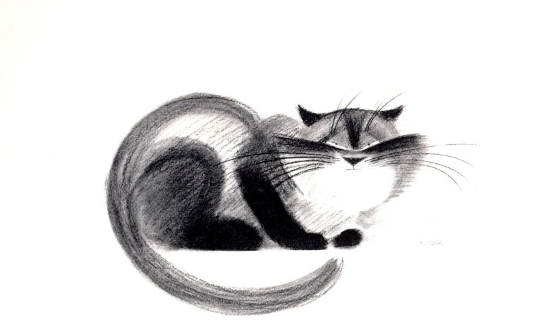 Котики Графика